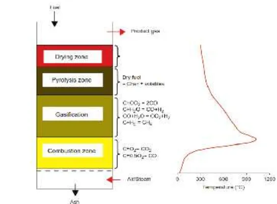 Gambar 3. Tahapan dan distribusi suhu pada Updraft gasifier [10]