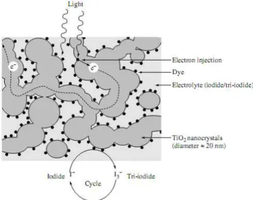 Gambar II. 9   Skematik struktur nanokristalin dan injeksi elektron pada dye  sensitized solar cell (DSSC) (Hara dkk, 2003) 