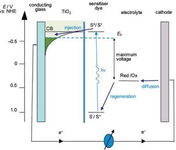 Gambar II.11  Energitika operasi DSSC (Listorti dkk, 2011; Durrant dkk, 2008)  Daya keluaran dari DSSC tidak hanya dipengaruhi oleh efisiensi separasi muatan  dan  koleksi  muatan  pada  elektrode  yang  dihasilkan  oleh  fotoelektrode,  namun  juga  dipen
