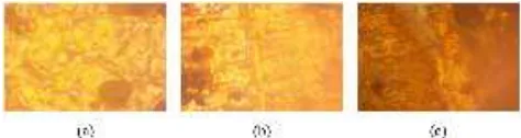 Gambar 6. Hasil foto mikrostruktur pada sampel setelah direndam dalam larutan HCl denganpenambahan 25 ml ekstrak kulit buah naga merah selama 6 hari (a), 12 hari (b) dan 18 hari (c)