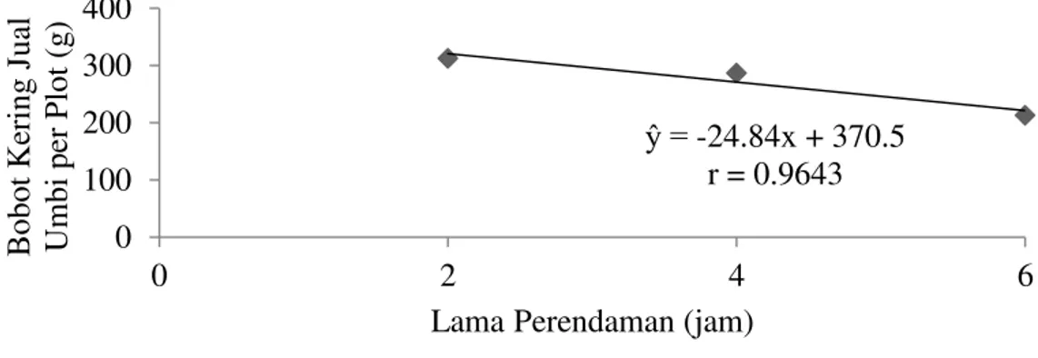 Gambar 4. Hubungan bobot kering  jualumbi (g) per plot pada lama perendaman.  Pada parameter bobot kering jual umbi bawang 