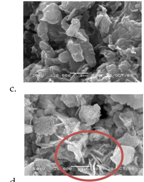 Gambar    2     SEM  mikrograf  Katalis  (a)  Zeolit Alam perbesaran 10000x, (b) H-Zeolit  perbesaran 1000x  (Wibowo,  2009), (c)   NiO-CoO-MoO/ZAAH,  dan  (d)   NiO-MoO-CoO/ZAAH dengan perbesaran 20.000 X