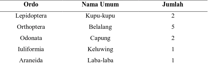 Tabel 2. Daftar Arthropoda yang ditemukan di Taman Wisata Alam Gunung Baung, Pasuruan