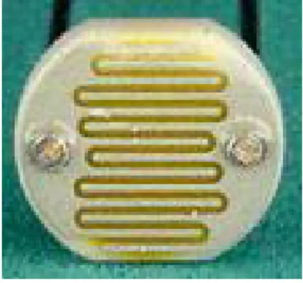 Gambar 2.1 LDR (Light Dependent Resistor) 