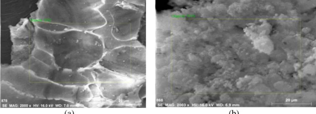 Gambar 3. Morfologi permukaan pada: silika sekam padi (a), silika sintetik (b) Hal  yang  sama  juga  dijelaskan  oleh 