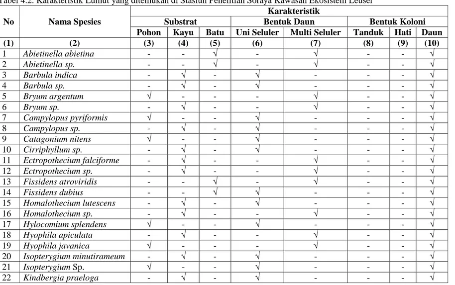 Tabel 4.2. Karakteristik Lumut yang ditemukan di Stasiun Penelitian Soraya Kawasan Ekosistem Leuser  