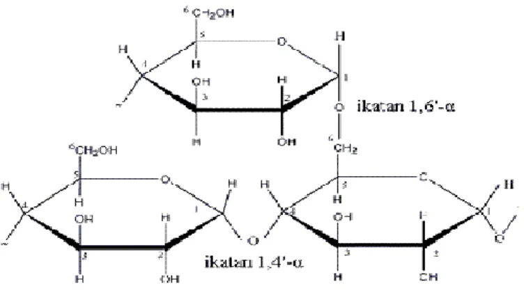 Gambar 2.  Rumus Struktur Amilopektin 