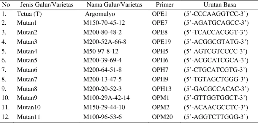 Tabel 1. Galur/Varietas dan Primer yang digunakan  