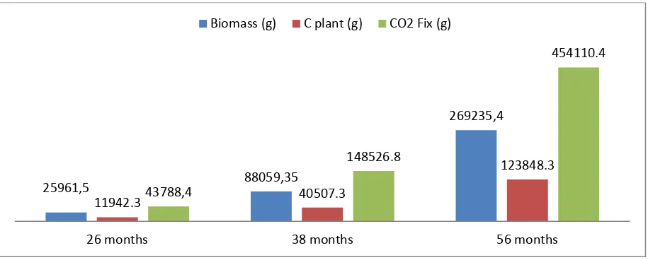 Figure 3.  Biomass distribusion of oil palm plant at the age of 26, 38 and 56 months 