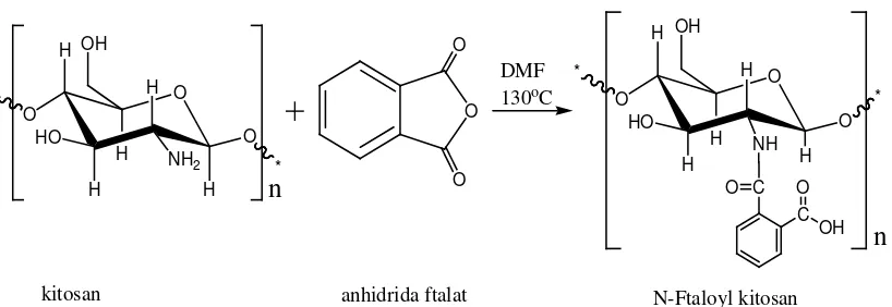 Gambar 5. Reaksi antara Kitosan dengan Anhidrida Ftalat 