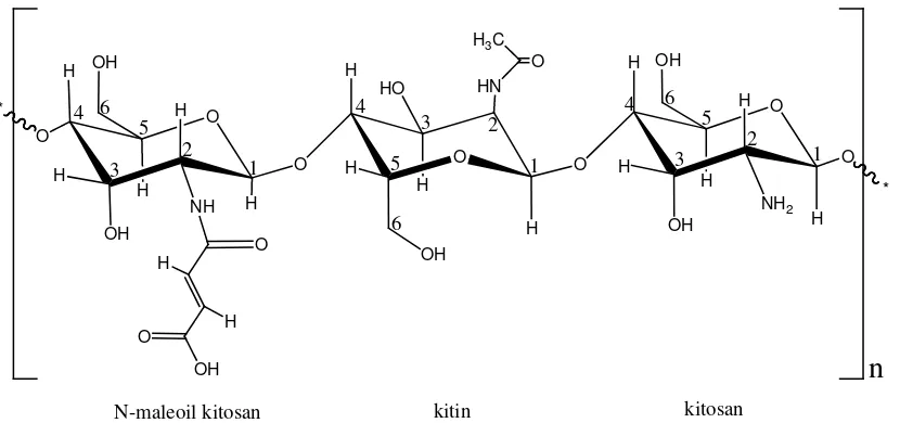 Gambar 12. Daerah pergeseran kimia masing-masing proton hasil analisis spektrofotometer 1H-NMR dari senyawa N-maleoil kitosan