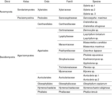 Tabel 1. Keanekaragaman jenis jamur makrofungi yang ditemukan di CA. Gunung Ambang 
