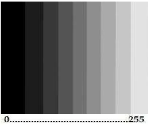 Fig 1. Degrees of gray scale in 8 bit. 