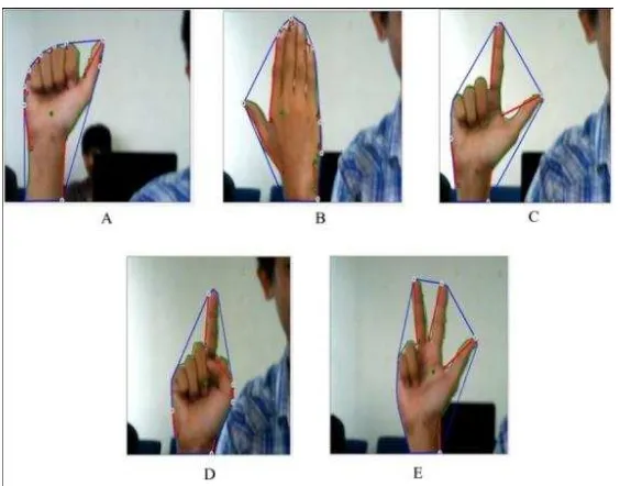 Fig 13. Shape and length of lines for each hand gesture. 