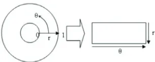 Figure 6. Illustration of the (Dougman’s rubber sheet model).