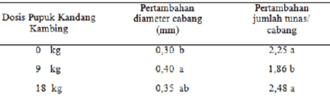 Tabel  1.  Pengaruh  dosis  pupuk  kandang  kambing  terhadap pertambahan diameter cabang dan jumlah  cabang   