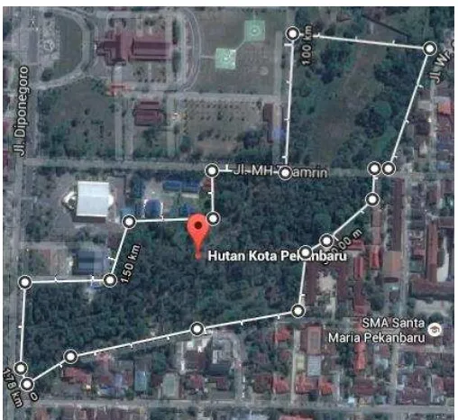 Gambar 5.1  Lokasi Hutan Kota ditambah tengan tapak untuk area parkir (sumber : Google Maps diakses pada tanggal 2 Maret 2016) 