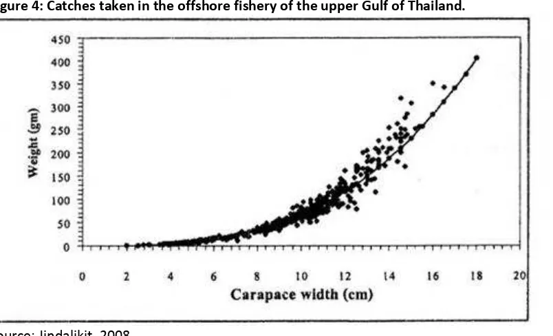 Figure 4: Catches taken in the offshore fishery of the upper Gulf of Thailand. 