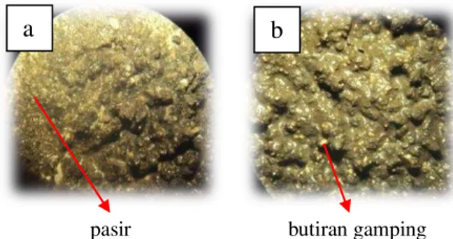 Gambar 3. Kenampakan mineral kuarsa (a) dan  sisa tumbuhan (b) pada serbuk bor sumur 