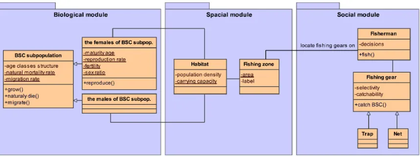 Figure 4: KKB model UML diagram. Boxes represent model entities with in the middle part their state variables and in the lower part their operations