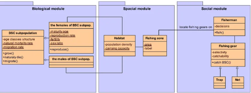 Figure 4: KKB model UML diagram. Boxes represent model entities with in the middle part their state variables and in the lower part their operations