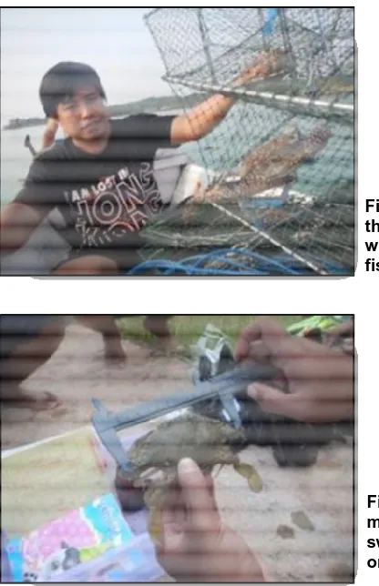 Figure 6. Hauling Process Photos of thecollabsible crab pot  from the 