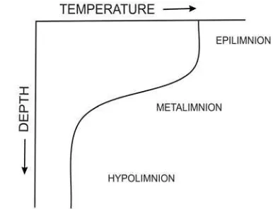 Gambar 8.  Variasi suhu dan kedalaman di sistem air tawar yang secara thermal stabil dimana suhu ≤ 4oC