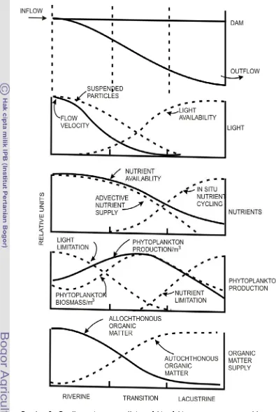 Gambar 9.  Gradien potongan melintang faktor-faktor yang mempengaruhi                                 produktifitas dan biomassa , kepentingan relatif autochtonous dan                    allochtonous di sepanjang longitudinal waduk  (Kimmel et al.,  dalam Thornton et al., 1990) 