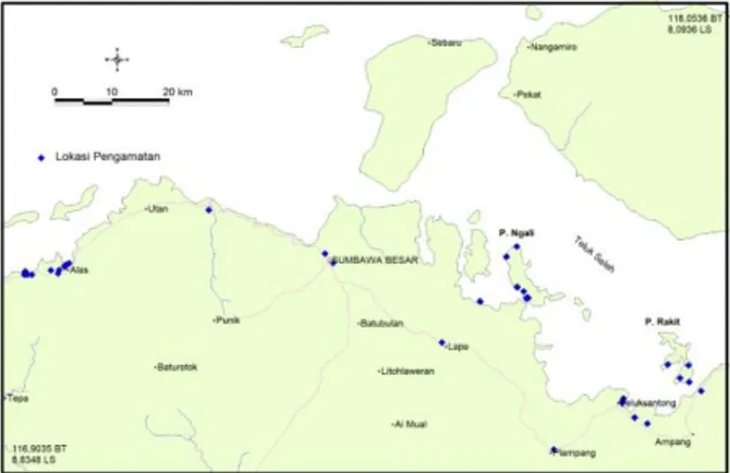 Gambar 1. Peta lokasi pengamatan lapangan di Pulau  Ngali, Pulau Rakit, dan daerah Plampang 
