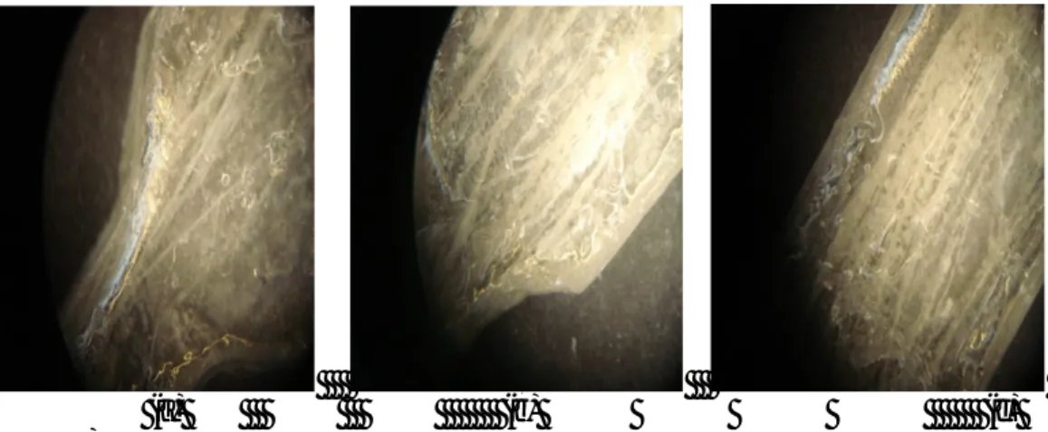 Gambar 3 Foto mikroskop optik dari komposit dengan orientasi serat searah untuk sampel uji  kuat tarik dengan penambahan serat : (a) 0,2 g; (b) 0,4 g; (c) 0,6 g 