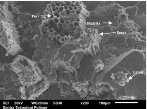 Gambar 10. Pengamatan SEM Komposit 