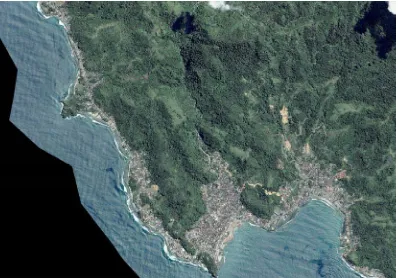 Gambar 4.4 Toprogafi Kota Tapaktuan melalui foto citra satelit quik bird Sumber: BAPPEDA Kab