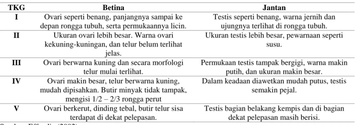 Tabel 1. Penentuan TKG Ikan Kuniran (Upeneus sulphureus) secara Morfologi  