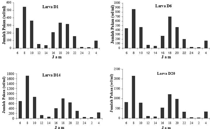 Gambar 7. Jumlah pakan yang dikonsumsi (sel/ml) larva P. maxima pada berbagai  tingkatan stadia