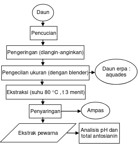 Gambar 1 Diagram alir ekstraksi pewarna daun erpa.