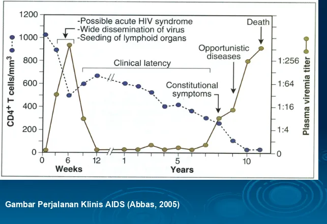 Gambar Perjalanan Klinis AIDS (Abbas, 2005)