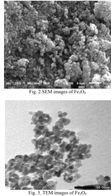 Fig. 2.SEM images of Fe3O4 
