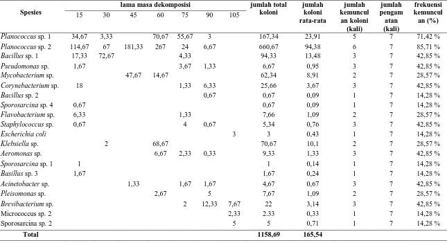 Tabel 4.                   Jumlah Koloni Rata-rata Bakteri x 106 (cfu/ml) dan Frekuensi  Kolonisasi pada Proses Dekomposisi  Serasah Daun A