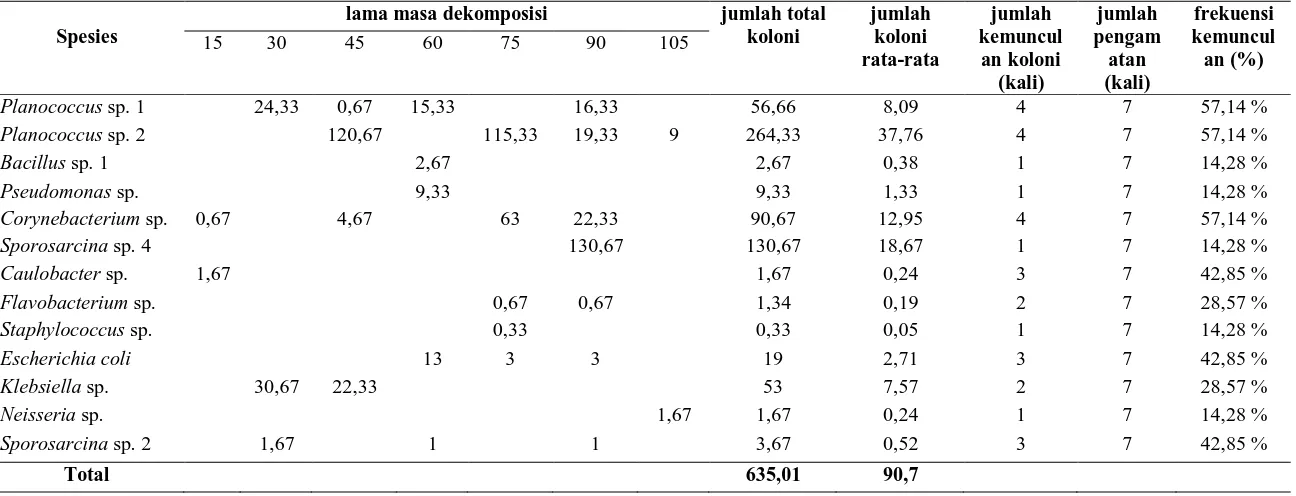 Tabel 8.                     Koloni Rata-rata Bakteri x 106 (cfu/ml) dan Frekuensi  Kolonisasi pada Proses Dekomposisi  Serasah Daun A