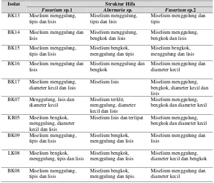 Tabel 3.3 Pengamatan struktur hifa fungi Fusarium sp.1, Altenaria sp., Fusarium 