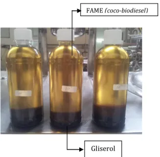 Gambar 4. Produk coco-biodiesel dan gliserol yang dihasilkan  3.2  Karakterisasi mutu coco-biodiesel 