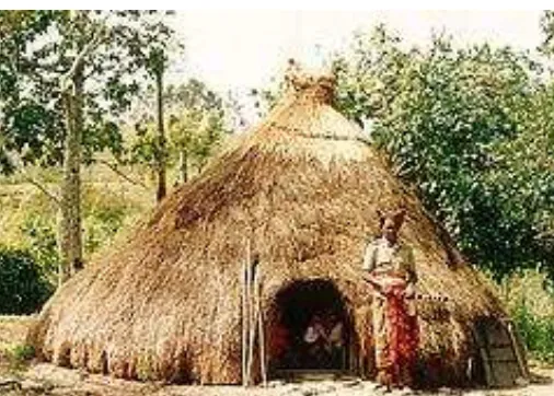 Gambar 2.1 Rumah bulat/Ume Kbubu, sebagai rumah tinggal masyarakat Boti