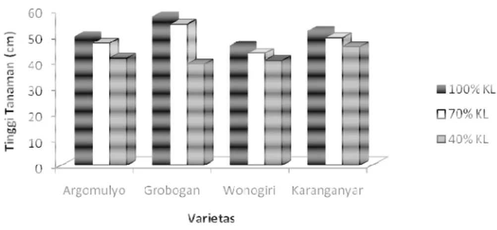 Gambar 1.Purata tinggi tanaman (cm) pada pada fasemulai berbunga Hasil  analisis  statistik