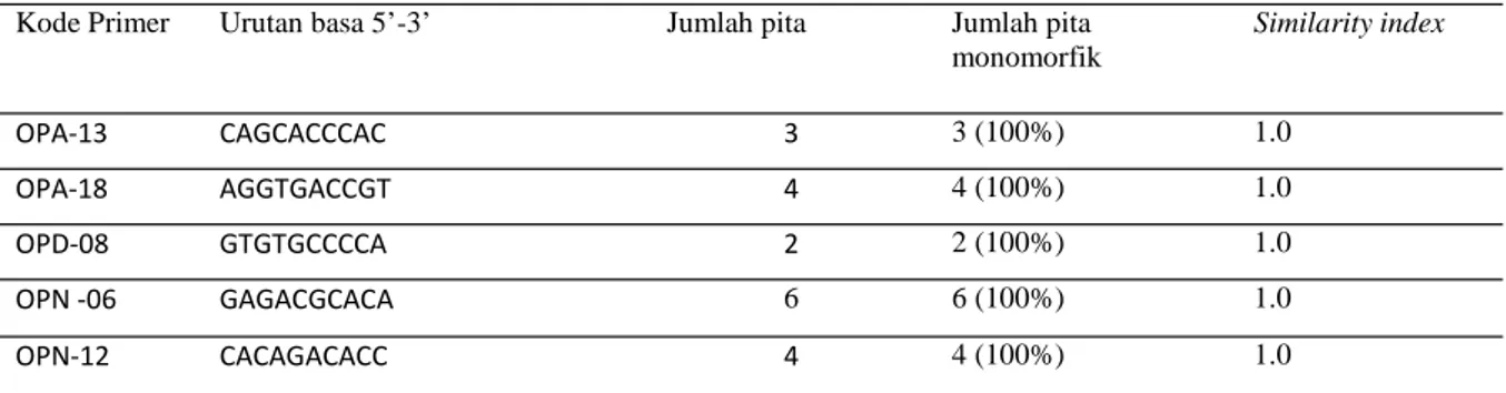 Tabel  1.  Pola  pita  DNA  tanaman  pisang  kepok  “Unti  Sayang’hasil  mikropropagasi  pada  sub-kultur  ketiga  (V1S3) 