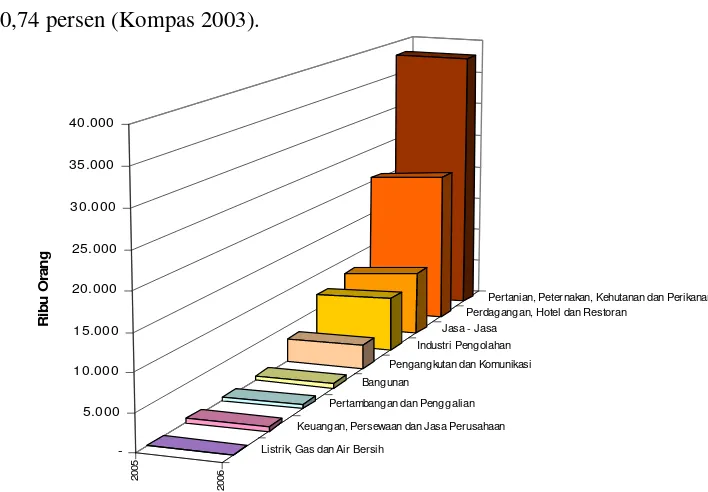 Gambar 3  Jumlah tenaga kerja usaha kecil tahun 2005 – 2006. 