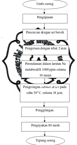 Gambar 3.1. Diagram Alir Proses Pembuatan Tepung Suweg 
