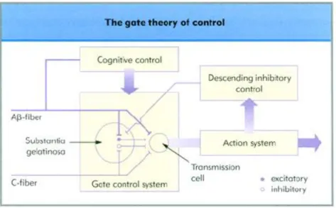 Gambar 2.5  Teori The Gate Control 
