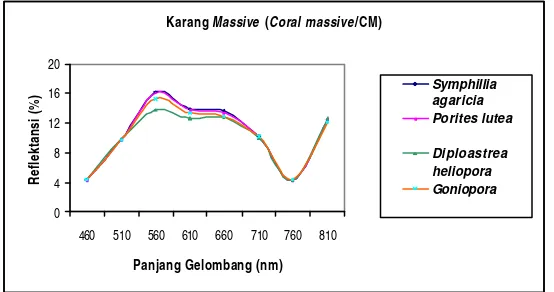 Gambar 12.  Grafik Nilai Rata-rata Reflektansi Spektral (%) dari 1 Spesies dalam Kelompok Karang Encrusting