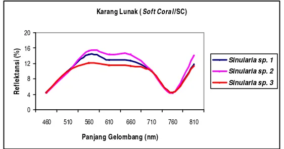 Gambar 13.  Grafik Nilai Rata-rata Reflektansi Spektral (%) dari 3 Spesies dalam   Kelompok Karang Lunak