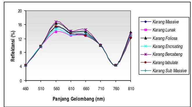 Gambar 16.   Grafik Nilai Rata-rata Reflektansi Spektral (%) dari 2 Spesies dalam                    Kelompok Karang Berbentuk Meja